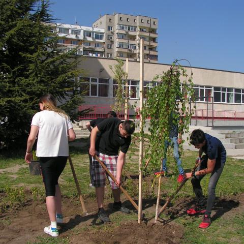 pict0628.jpg