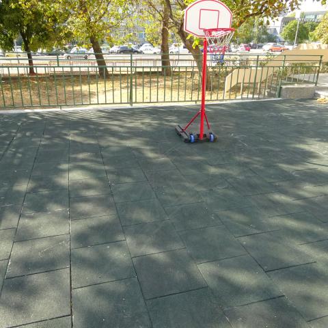 dsc02580.jpg