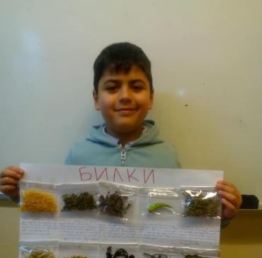 CLIL   Билки  III "в" клас 