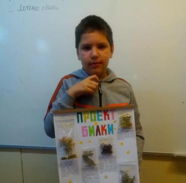 CLIL   Билки  III "в" клас 
